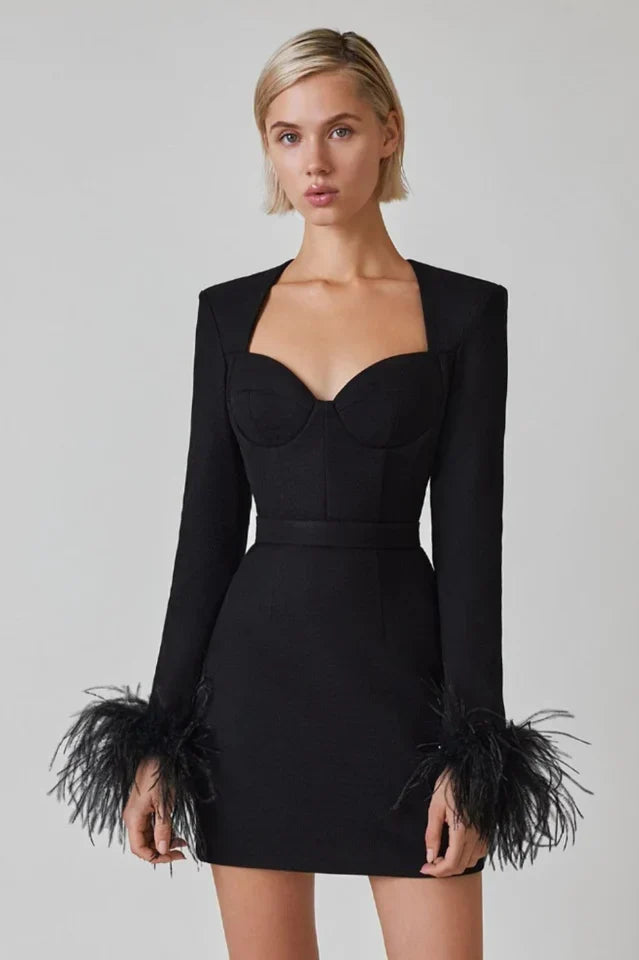 Josefina | Women's Sweetheart Neck Long Sleeve Bust Cups Feather Trim Mini Dress