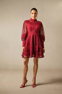 Arden | Women's Embroidered Lace Long Balloon Sleeve Elegant Dress