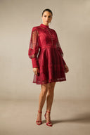 Arden | Women's Embroidered Lace Long Balloon Sleeve Elegant Dress