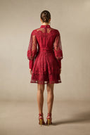 Arden | Women's Embroidered Lace Long Balloon Sleeve Elegant Dress