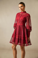 Arden | Women's Embroidered Lace Long Balloon Sleeve Elegant Dress