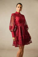 Arden | Women's Embroidered Lace Long Balloon Sleeve Elegant Dress