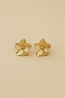 Aurora | Women's Gold Plated Flower Earrings