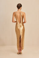 Celestine | Women's Halter Open Back Solid Maxi Dress