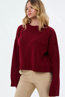 Fern | Women's Crew Neck Raglan Long Sleeve Ribbed Trim Knit Sweater
