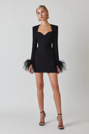 Josefina | Women's Sweetheart Neck Long Sleeve Bust Cups Feather Trim Mini Dress