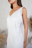 Celine | Women's Glitter Fringes Mini Dress